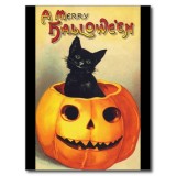 halloween_black_cat_in_pumpkin_vintage_art_postcard-r45727519c3b94804983524bfc75b45e2_vgbaq_8byvr_512