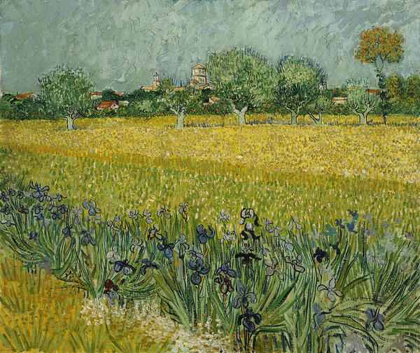 2-field-with-flowers-near-arles-vincent-van-gogh